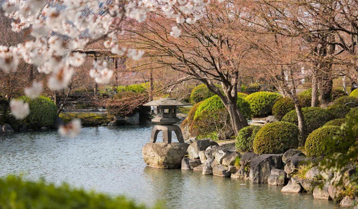 jardin japonais