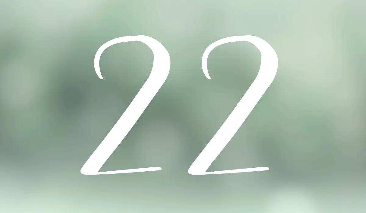 22 en numérologie