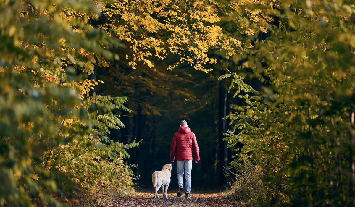 Un homme et son chien, pour illustrer la loyauté issue de 24