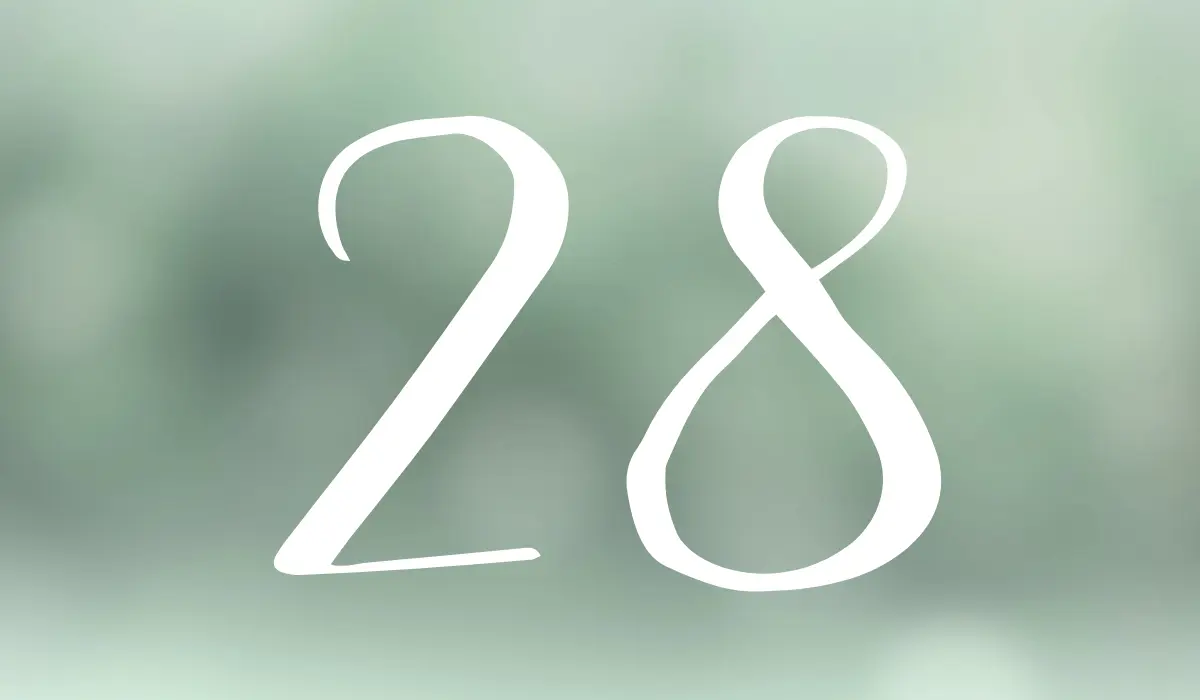 le chiffre de numérologie 28