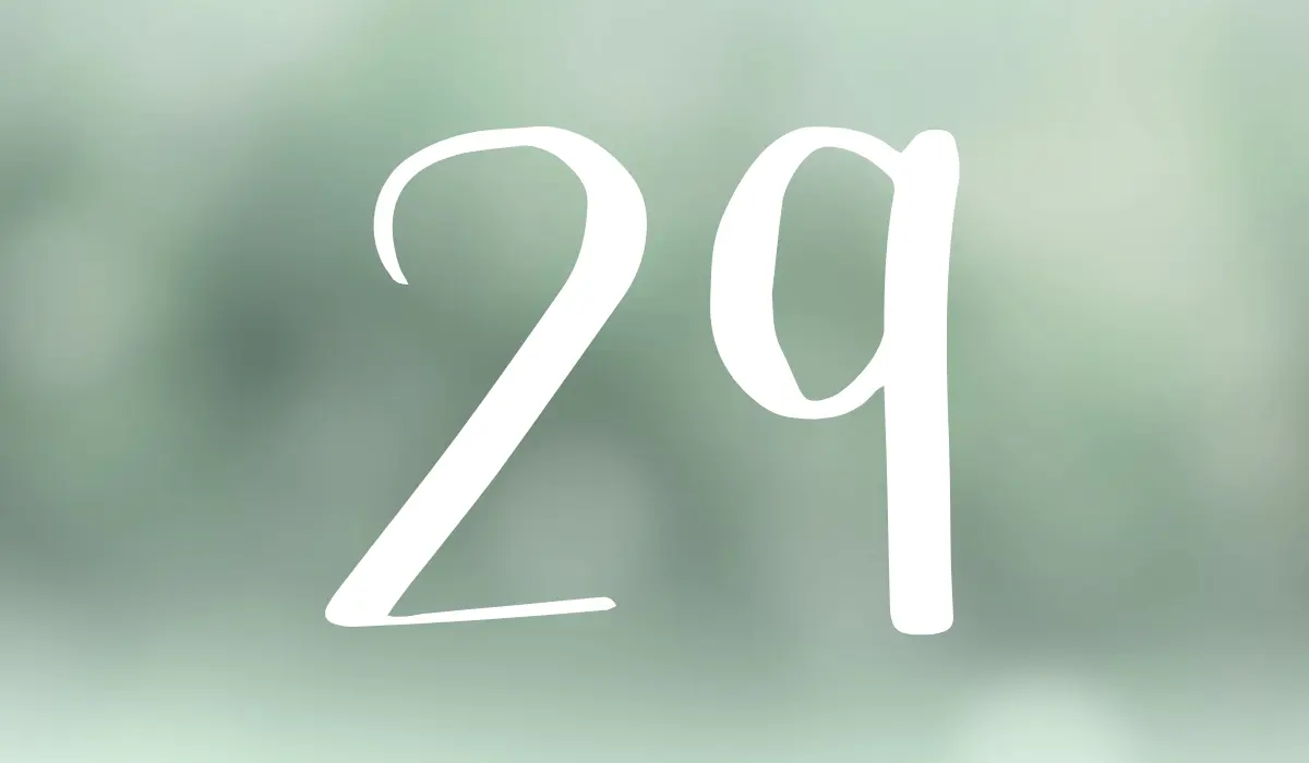 Le chiffre 29