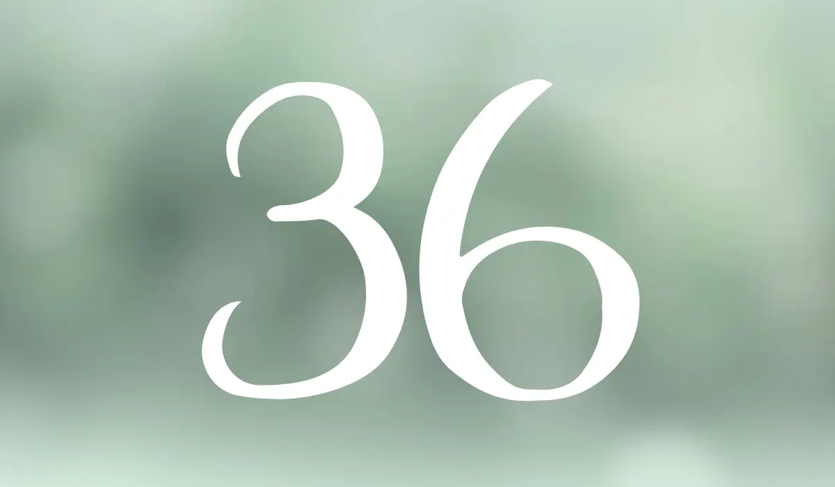 chiffre 36