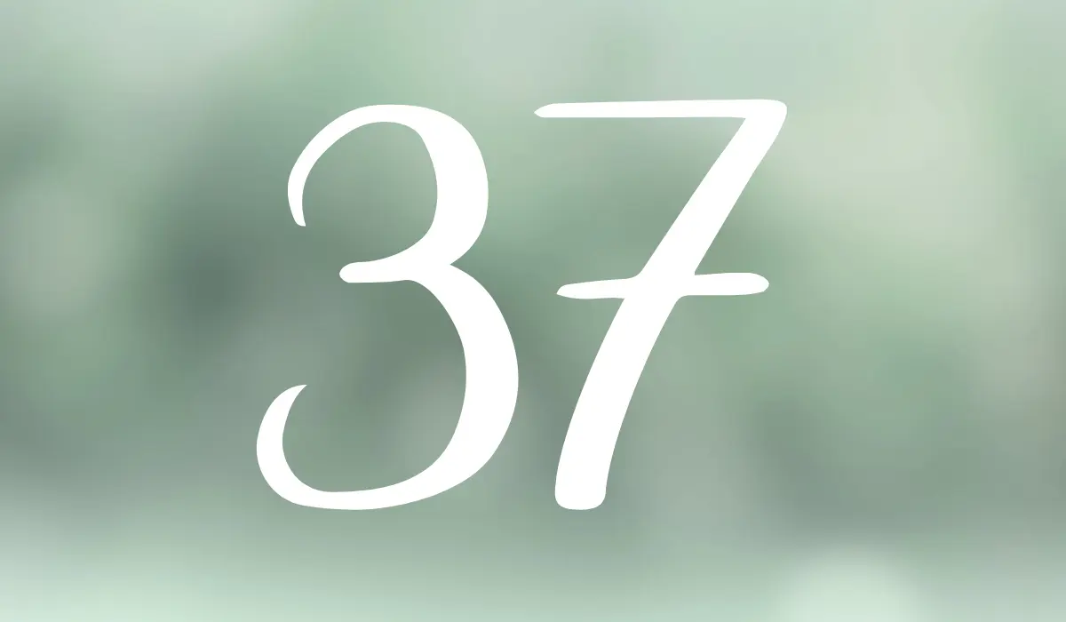 chiffre 37