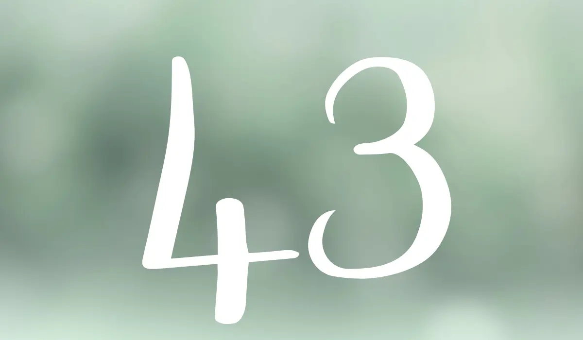 chiffre 43