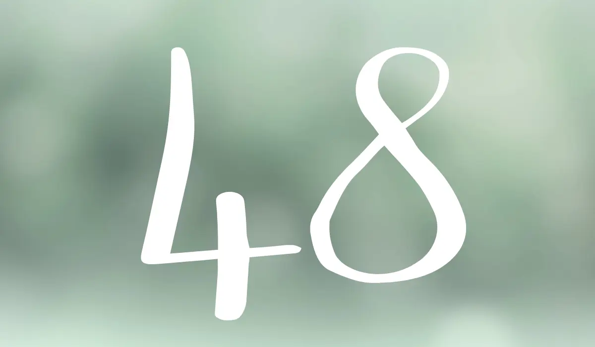 chiffre 48