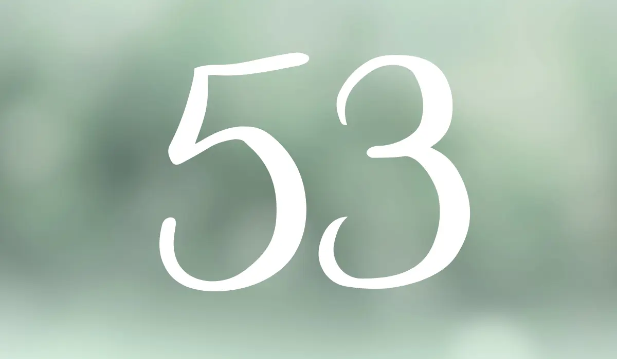chiffre 53
