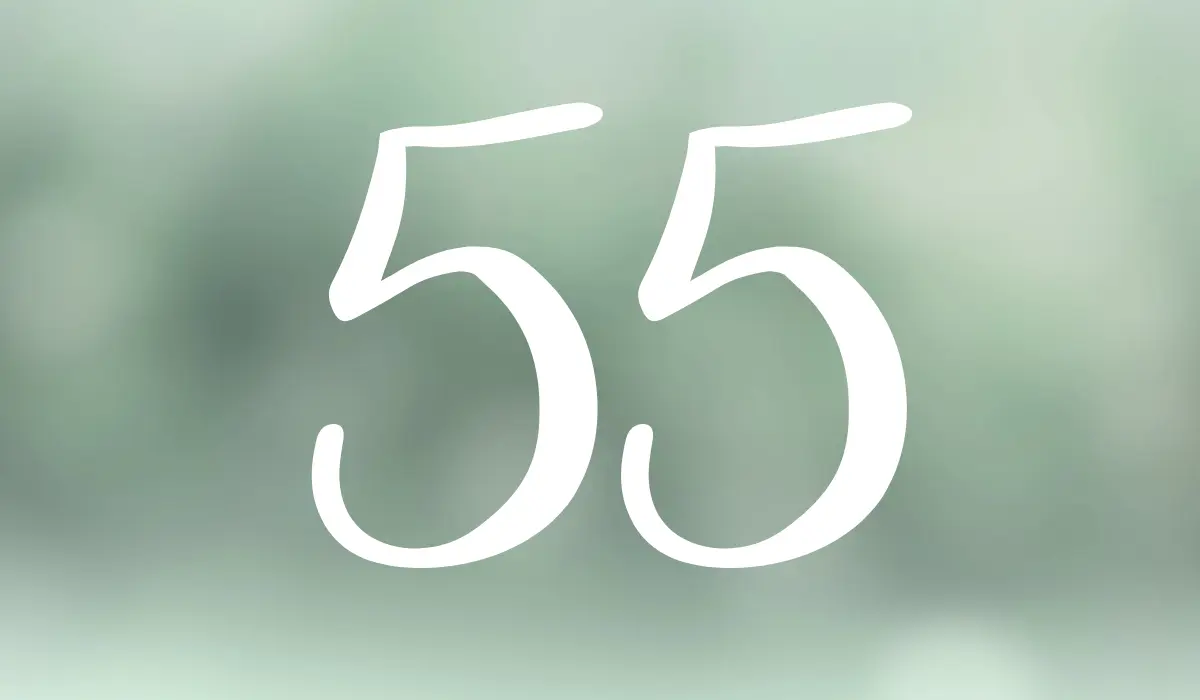 chiffre 55