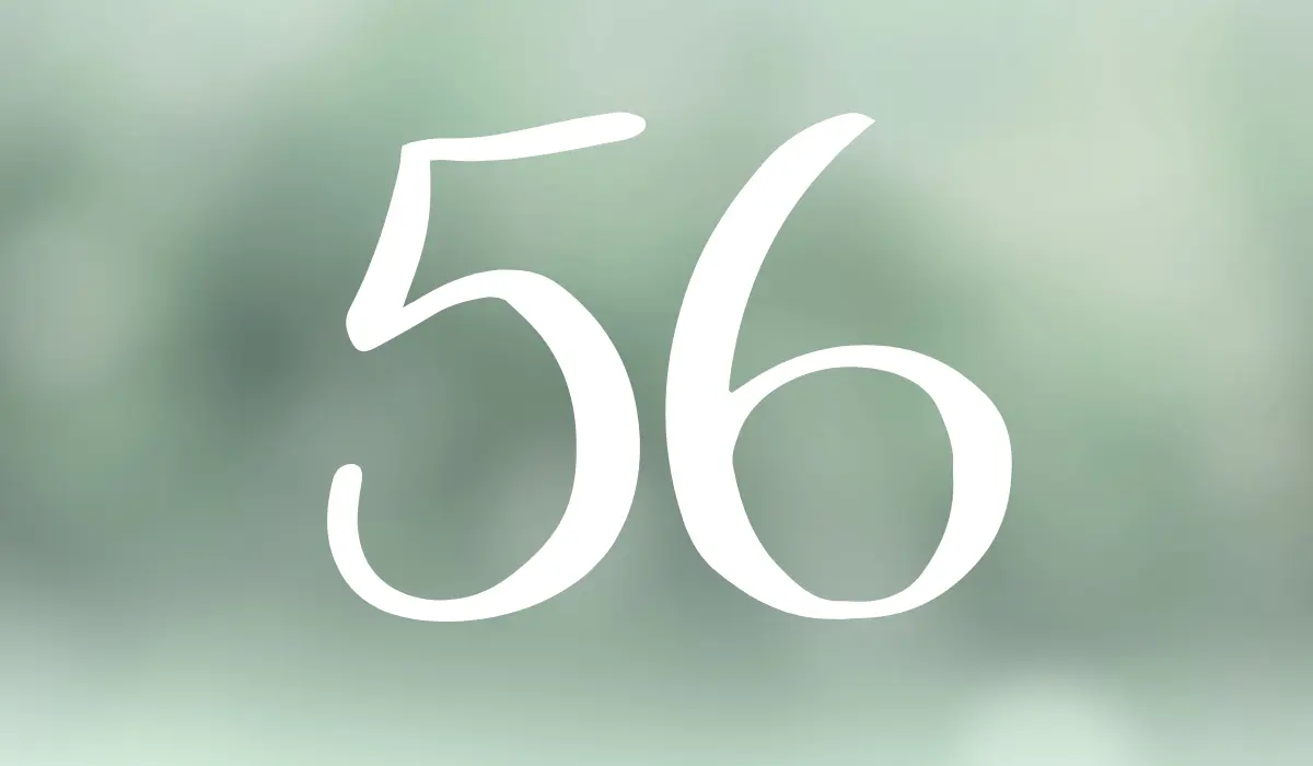chiffre 56