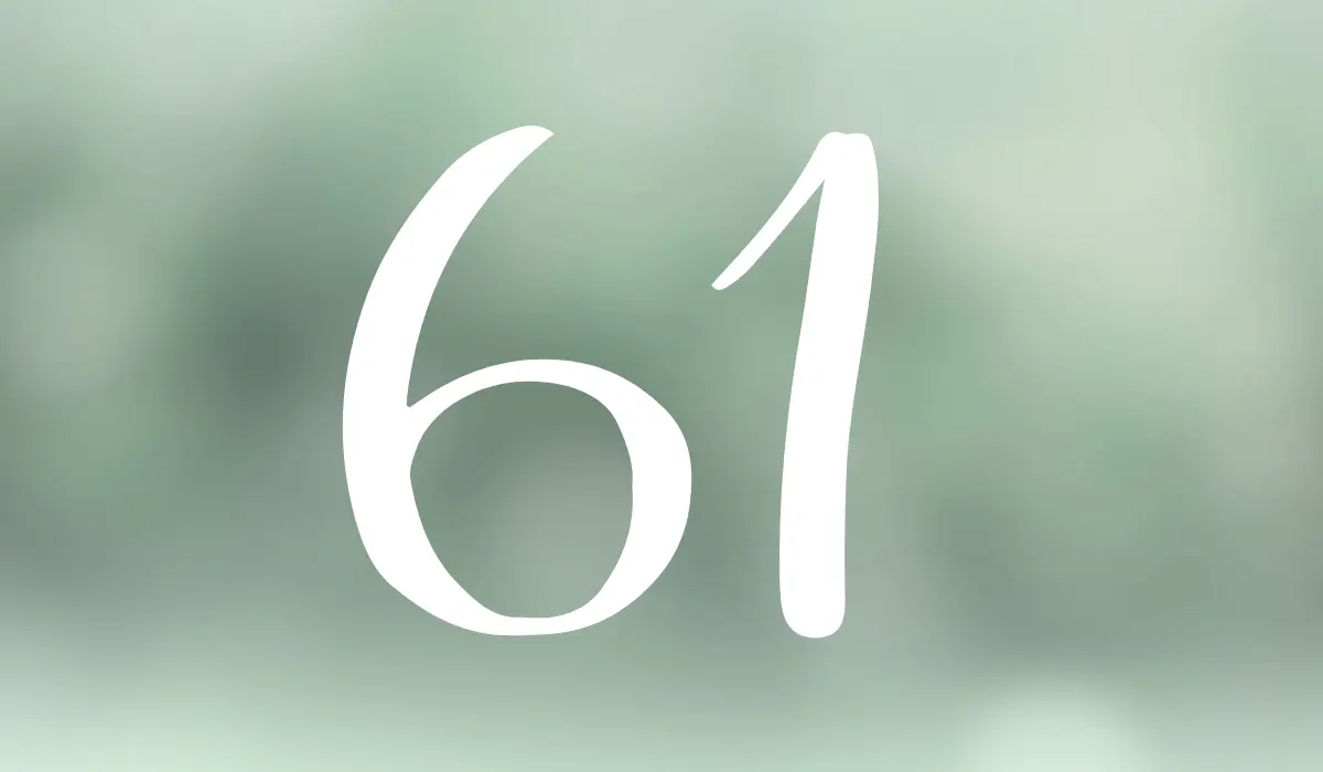 chiffre 61