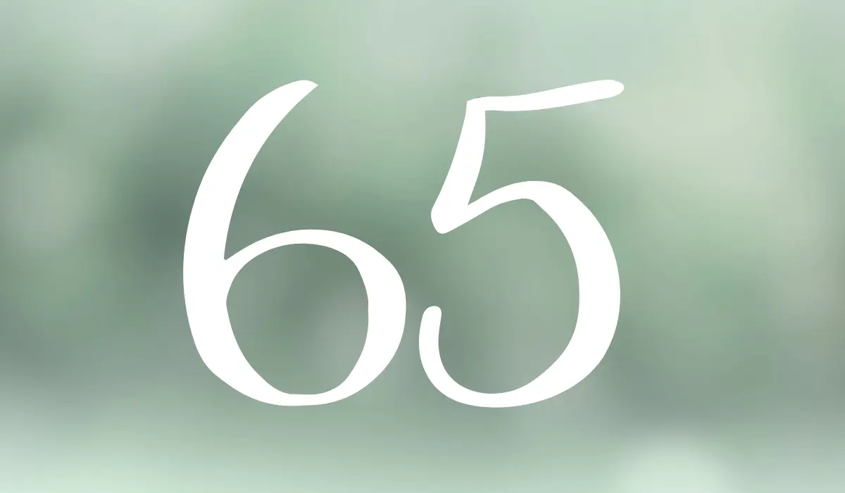 chiffre 65