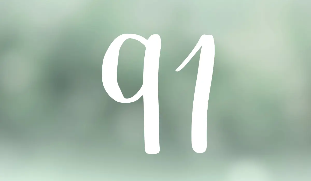 chiffre 91