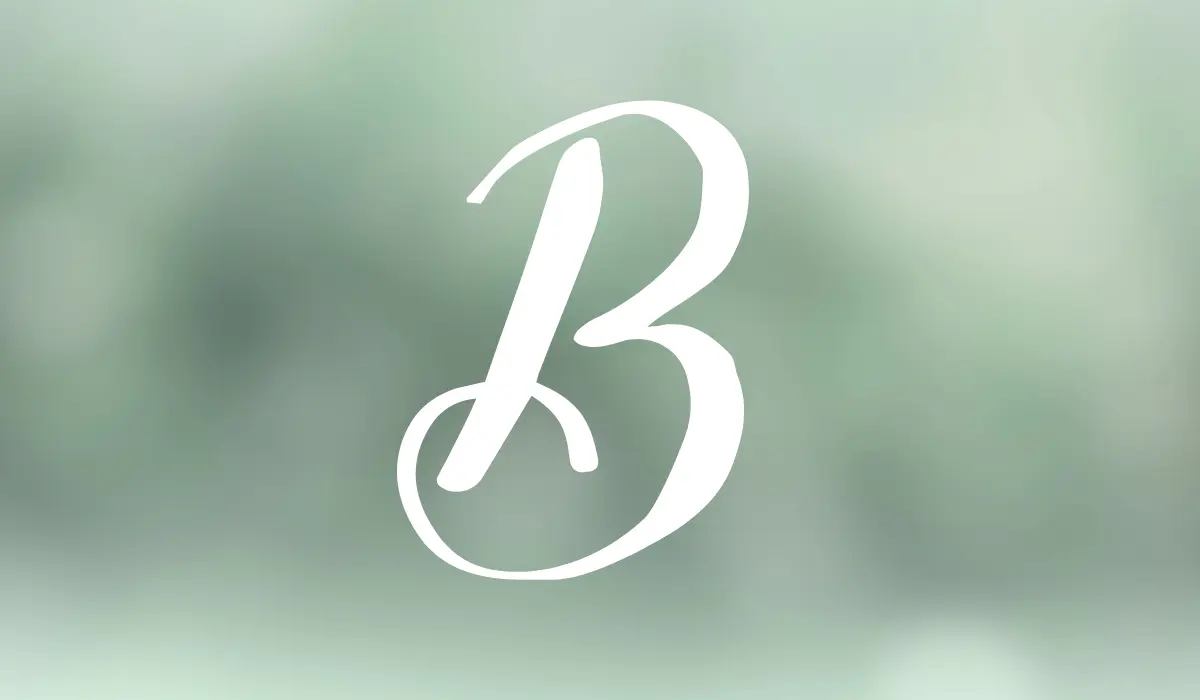 lettre B