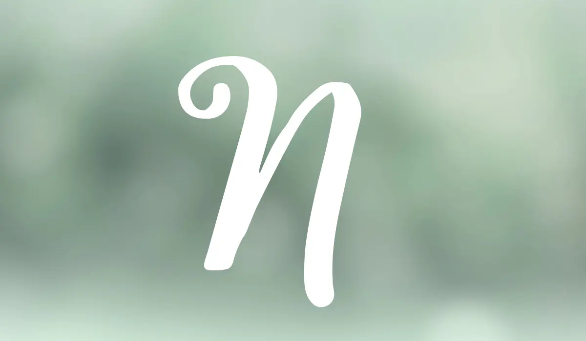 lettre N