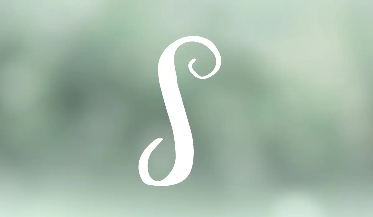 lettre S