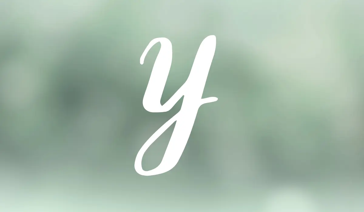 lettre Y