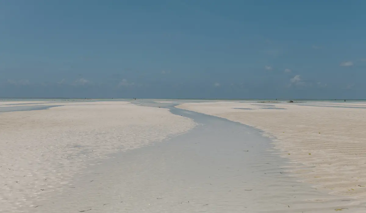 Marée basse