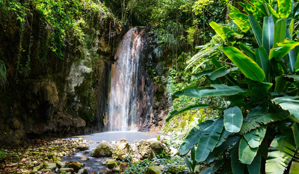 chute d'eau en milieu tropical