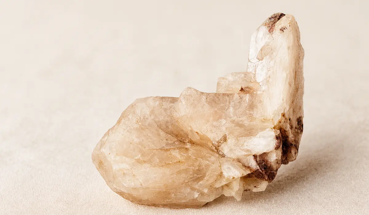stilbite brute