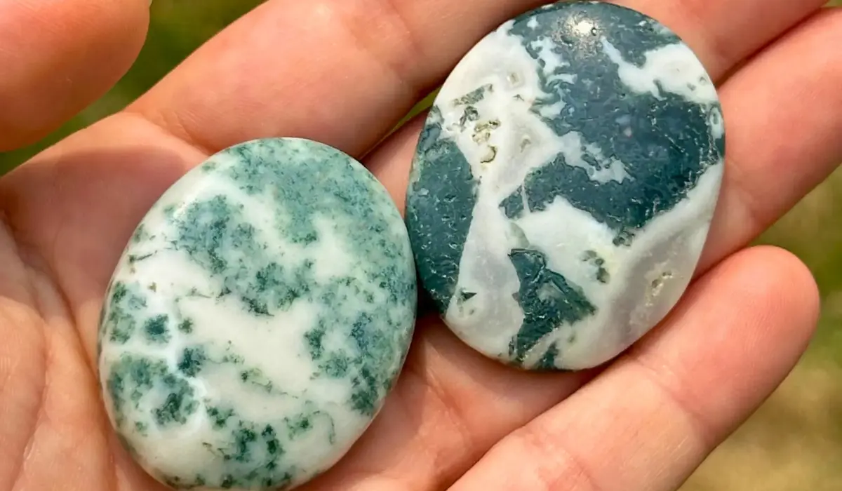 agate arborisée
