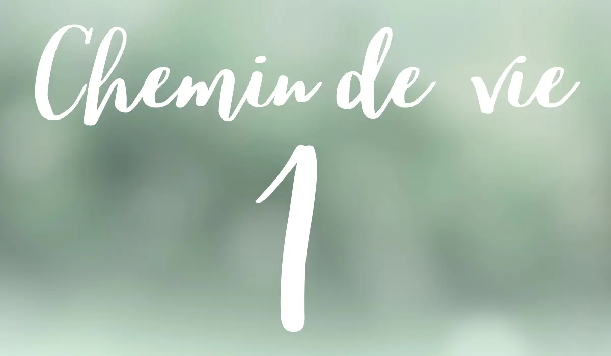 chemin de vie 1