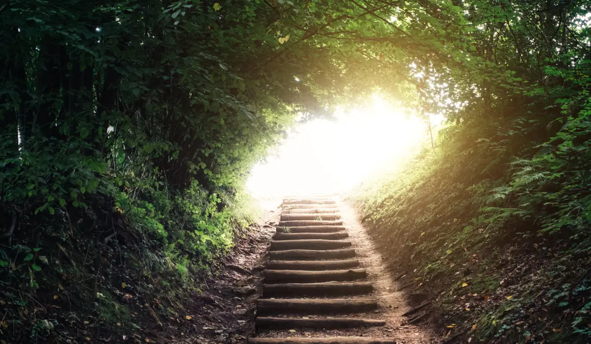 Un chemin de vie montant symboliquement vers le ciel