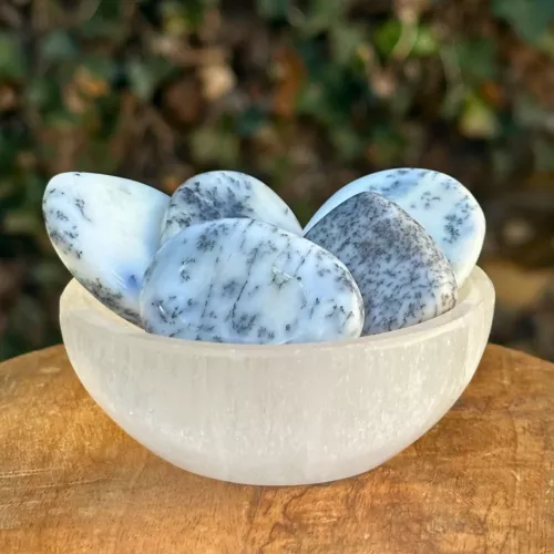 agate dendritique plate dans un bol