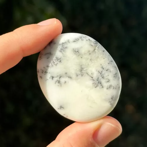 agate dendritique plate tenue entre les doigts