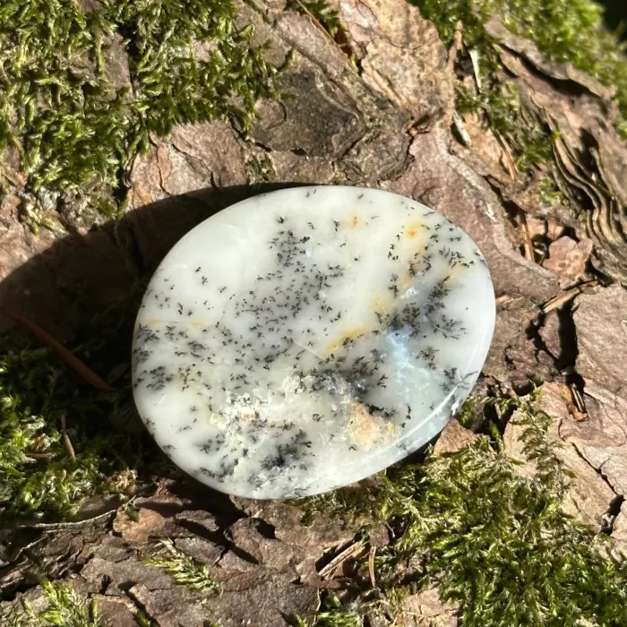 agate dendritique plate posée sur le sol