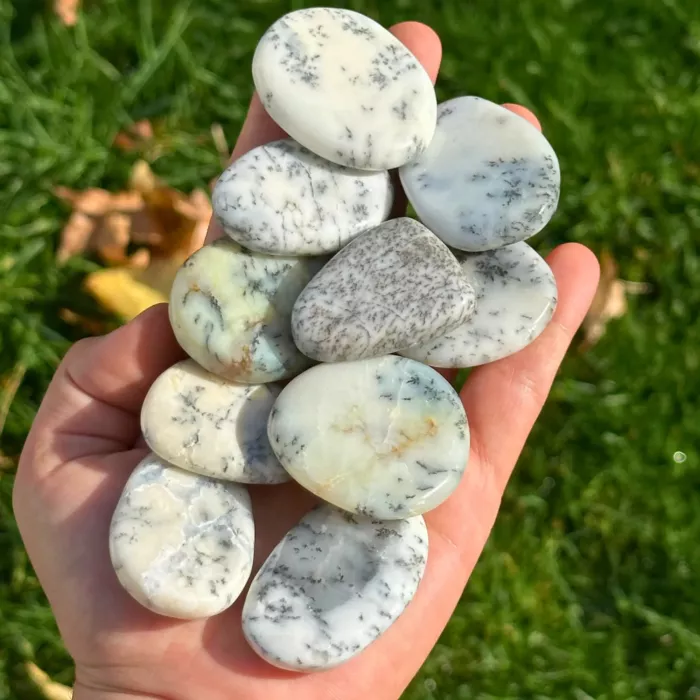 agate dendritique plate tenue dans la paume de la main