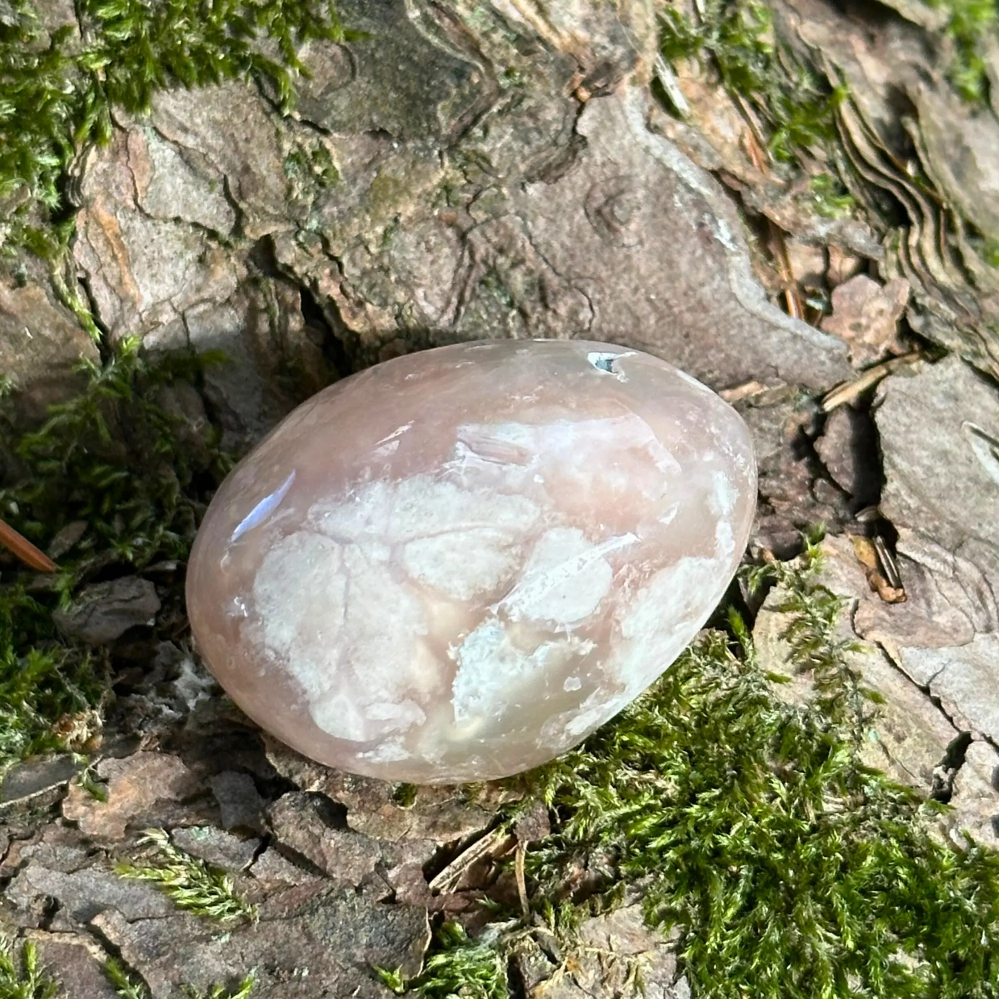 Agate fleur de cerisier posée sur le sol d'un jardin