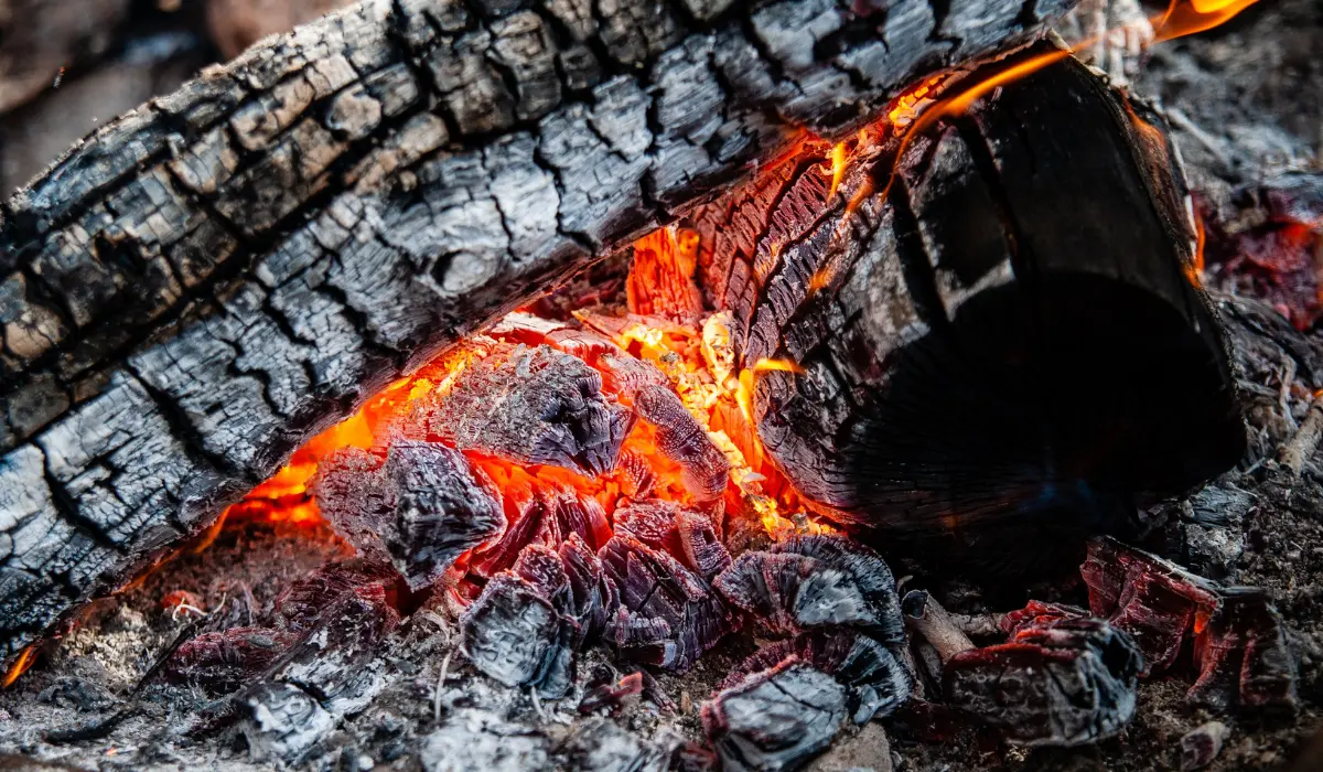 feu de bois avec des cendres en dessous