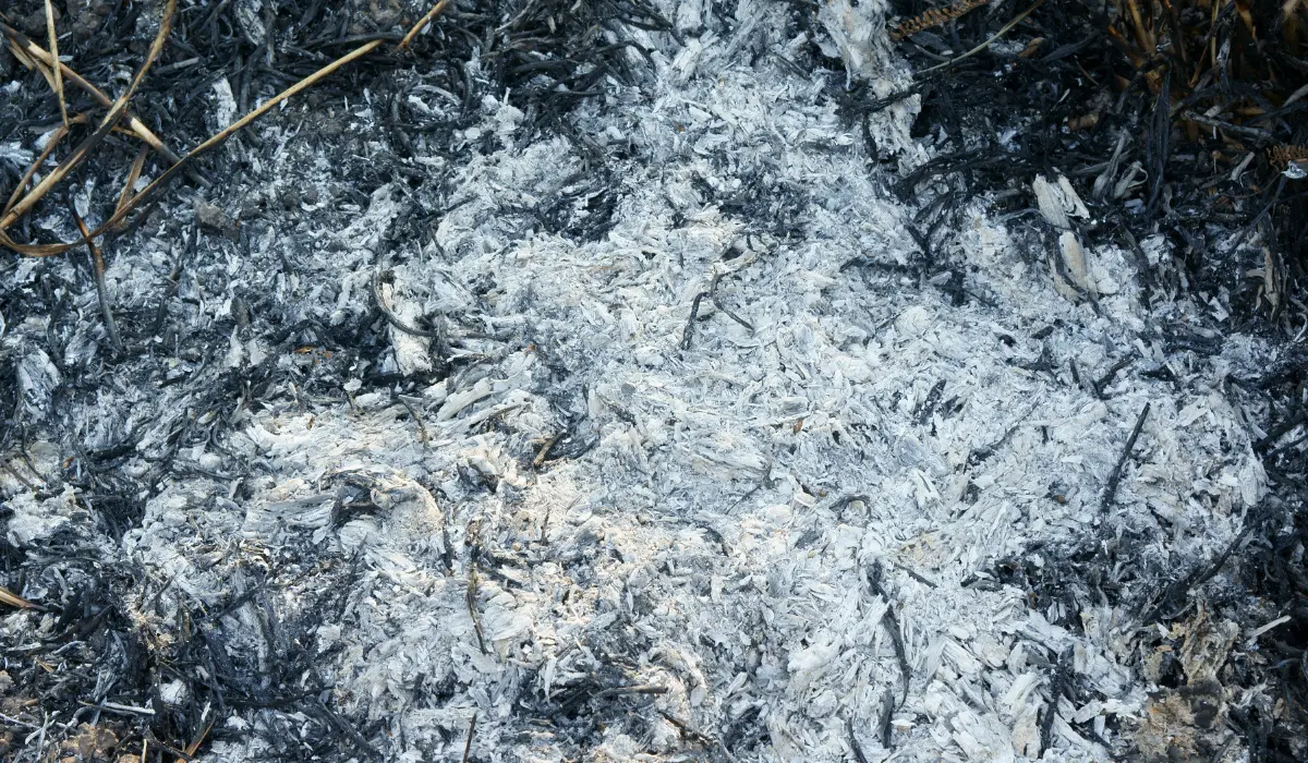 cendres grises après un feu de camp