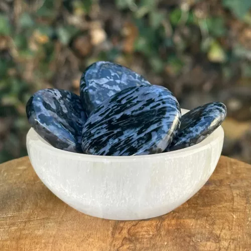 gabbro plate dans un bol