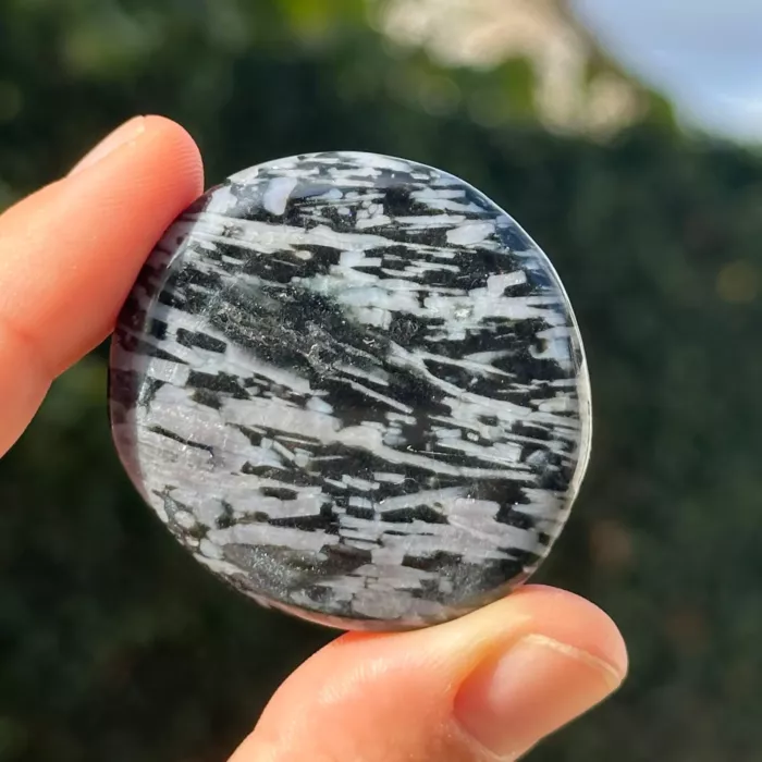 gabbro plate tenue entre les doigs