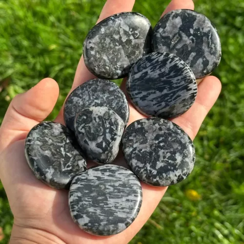 gabbro plate tenue dans une main