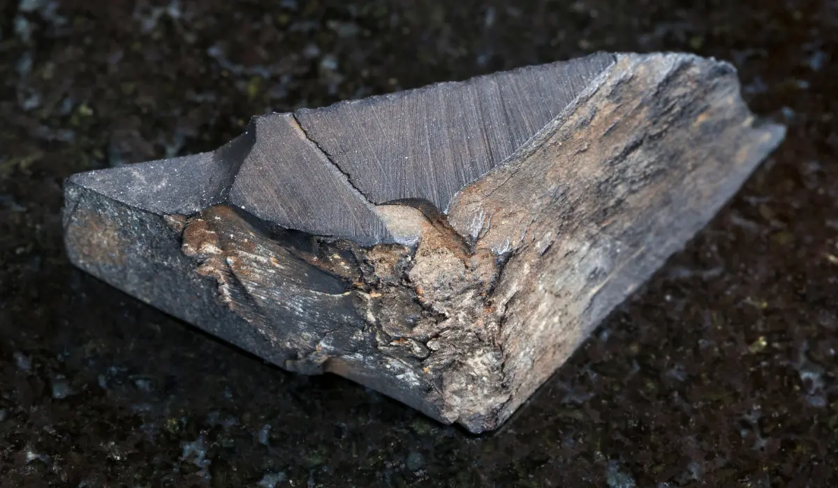 Gagate brute sur fond noir