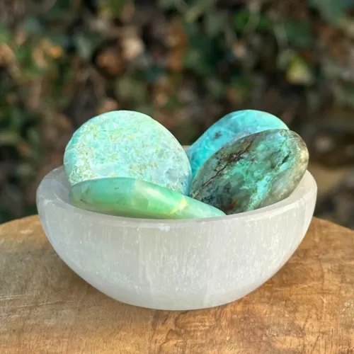 garnierite plate dans un bol, dans un jardin