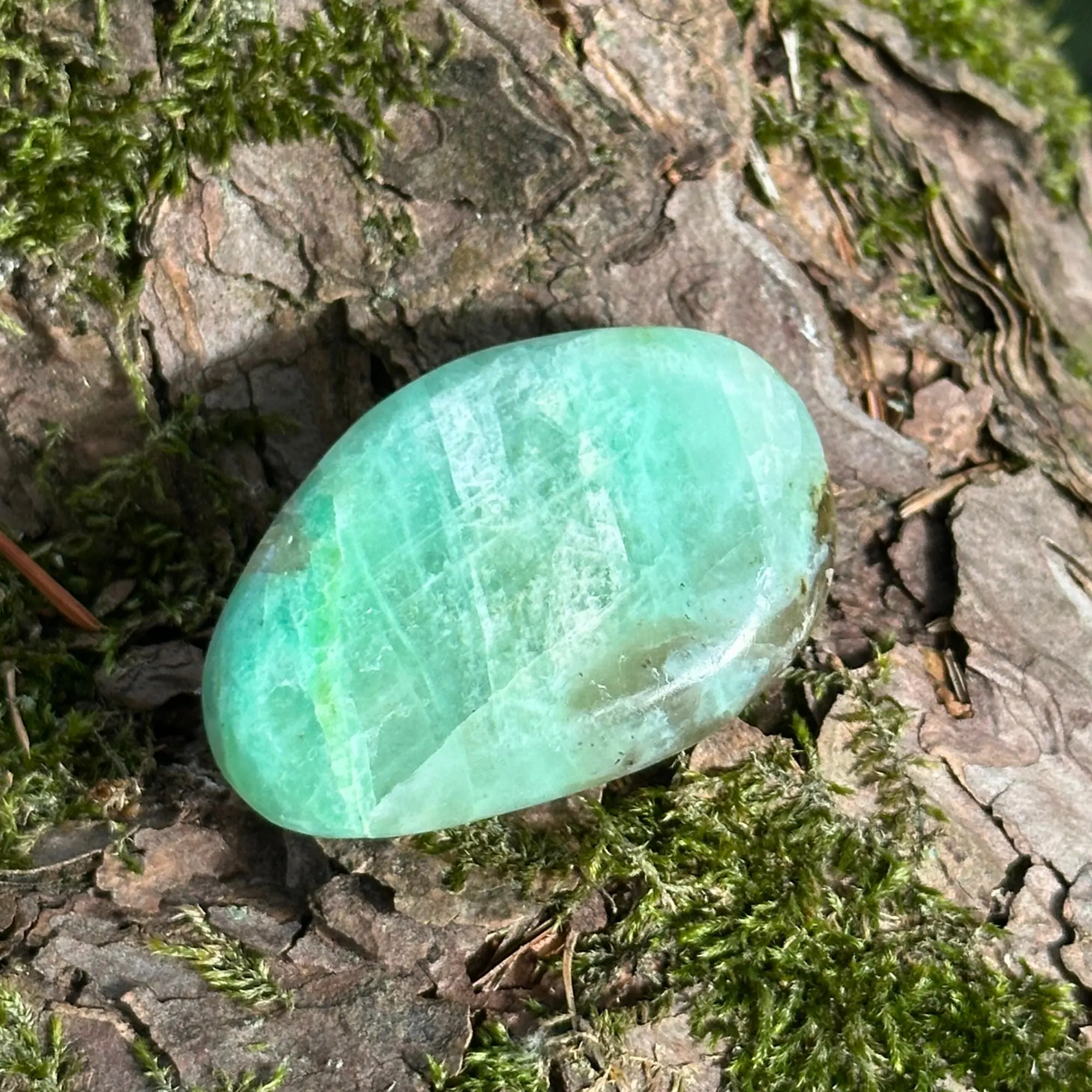 garnierite plate sur le sol