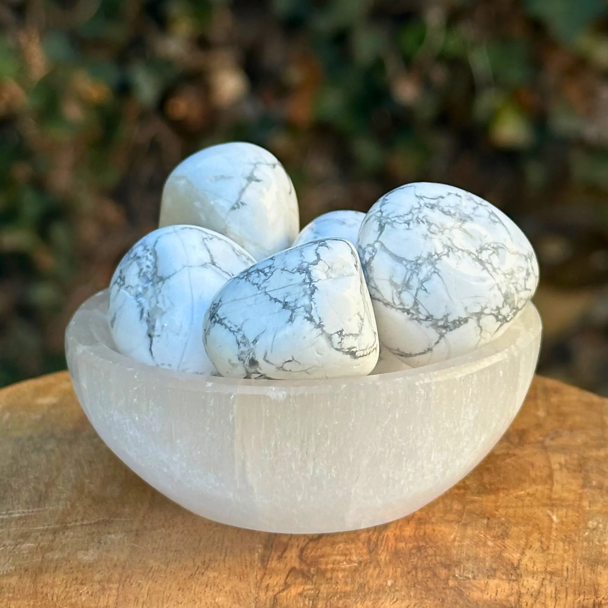 Howlite blanche dans un bol