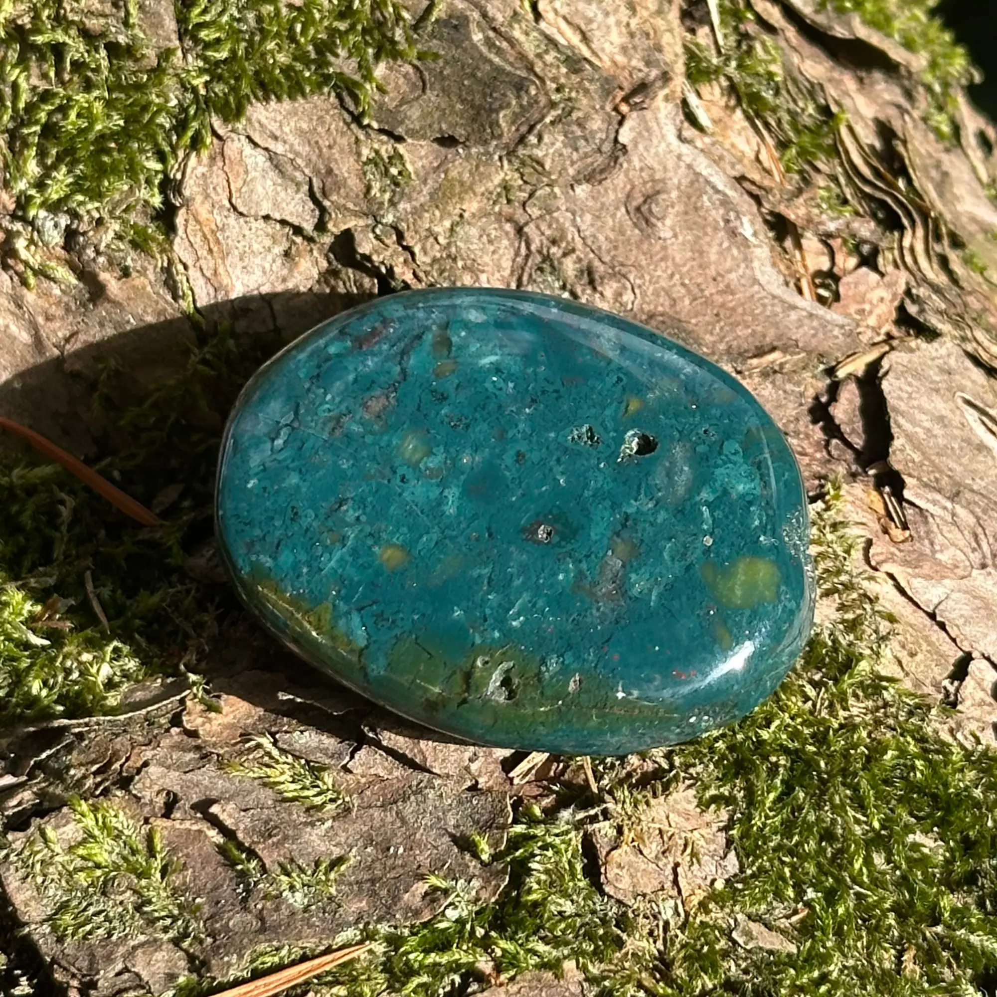 jaspe vert plate dans un jardin