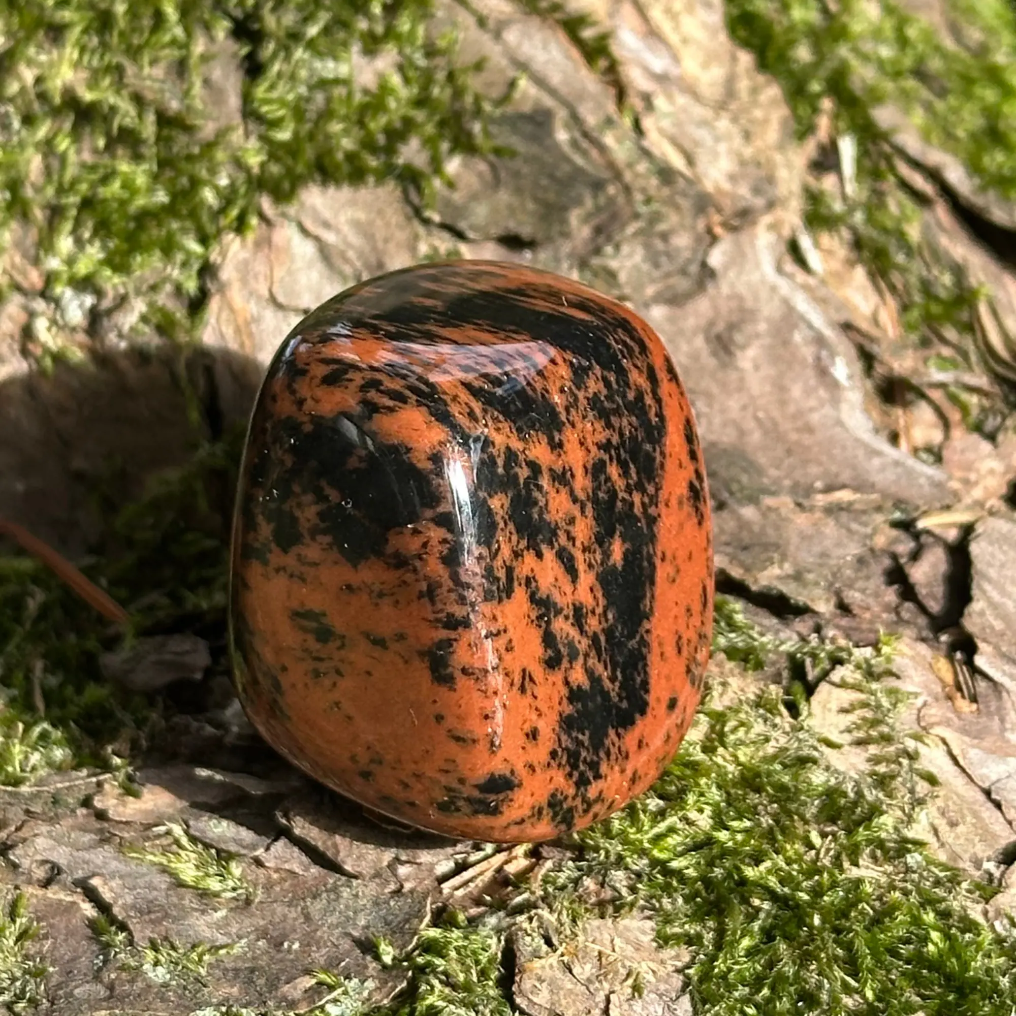 obsidienne acajou posée sur le sol