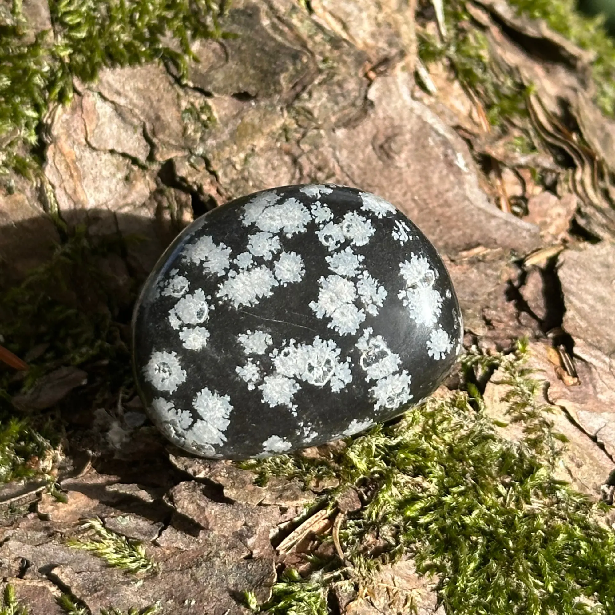 Obsidienne flocon de neige posée au sol