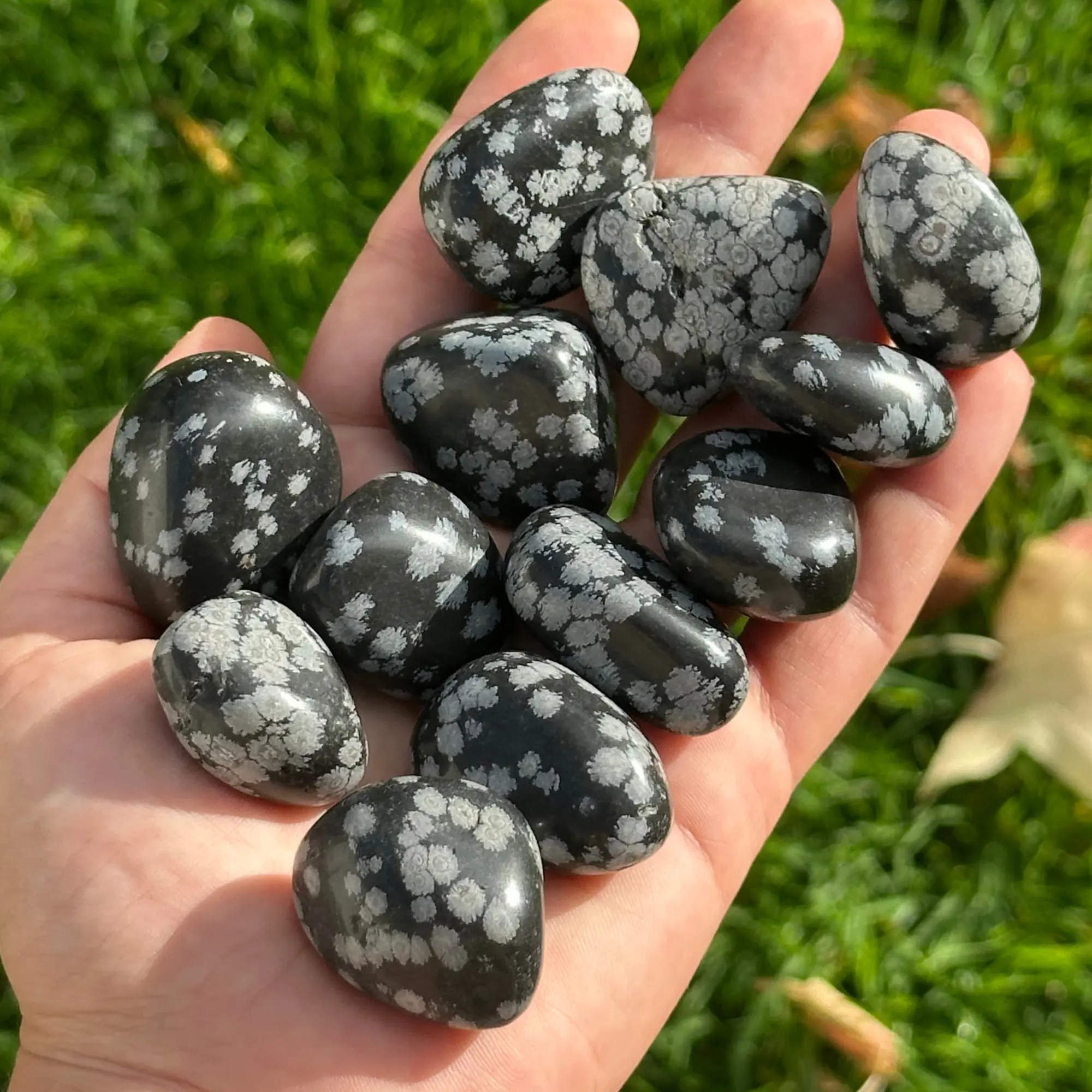 Obsidienne flocon de neige tenue dans la main