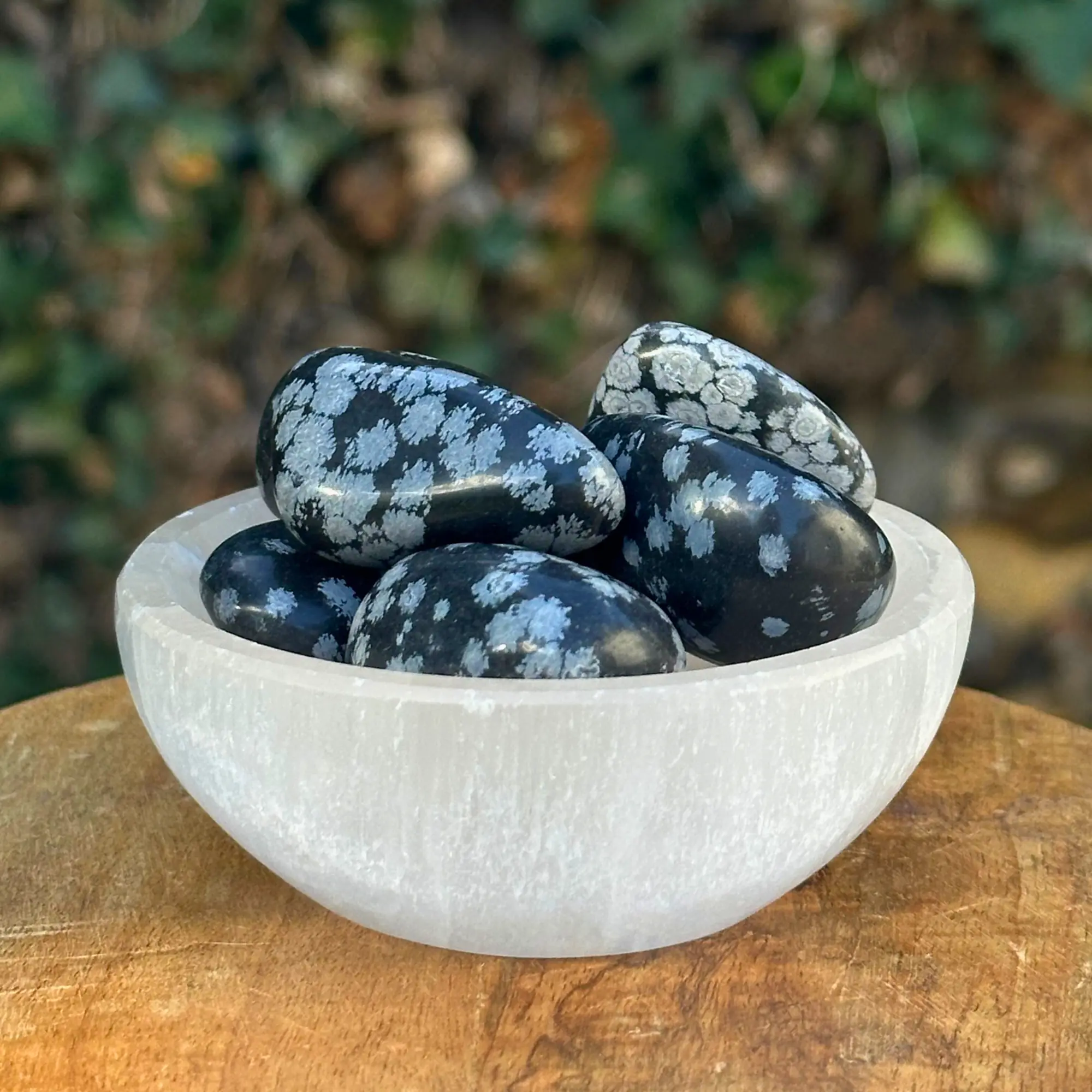 Obsidienne flocon de neige dans un bol