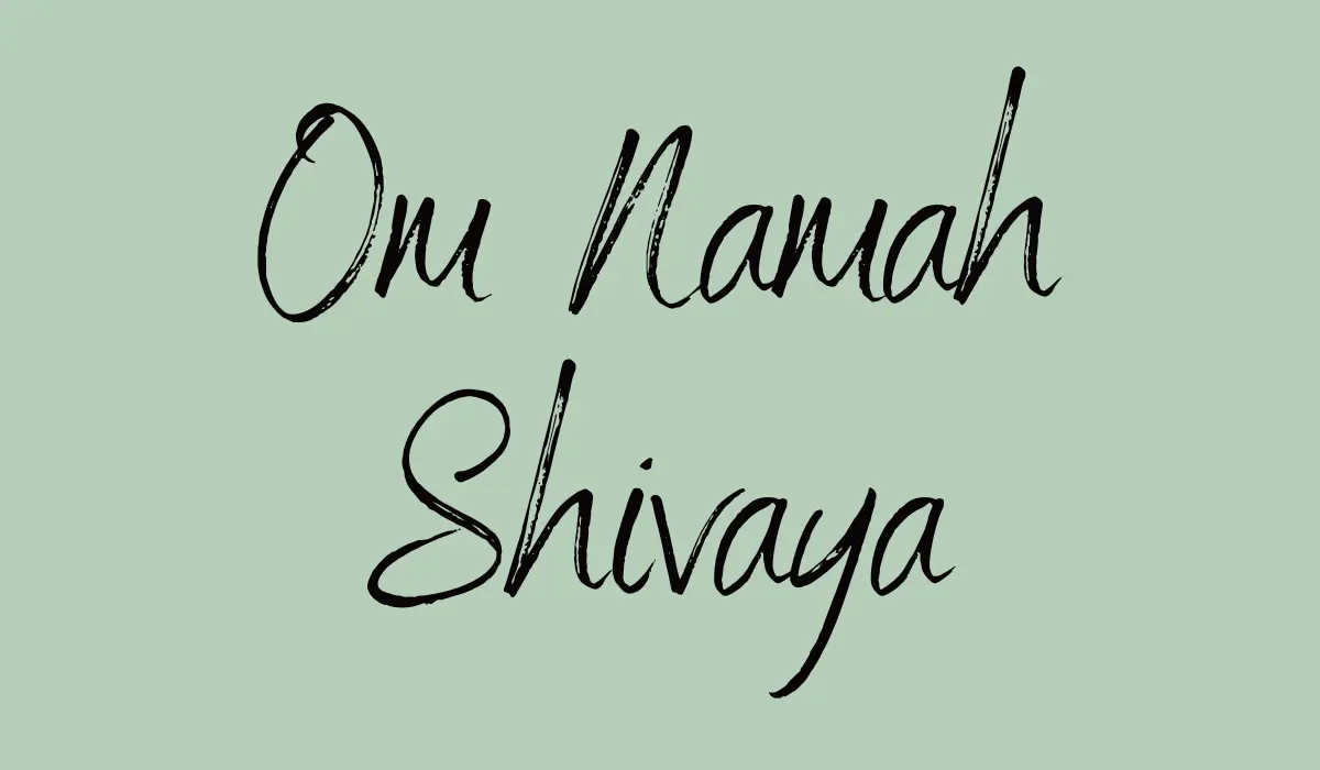 Om Namah Shivaya