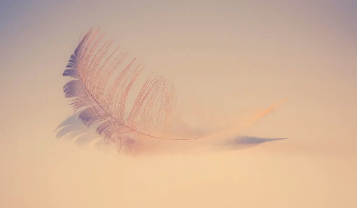 une plume illustrant la légèreté