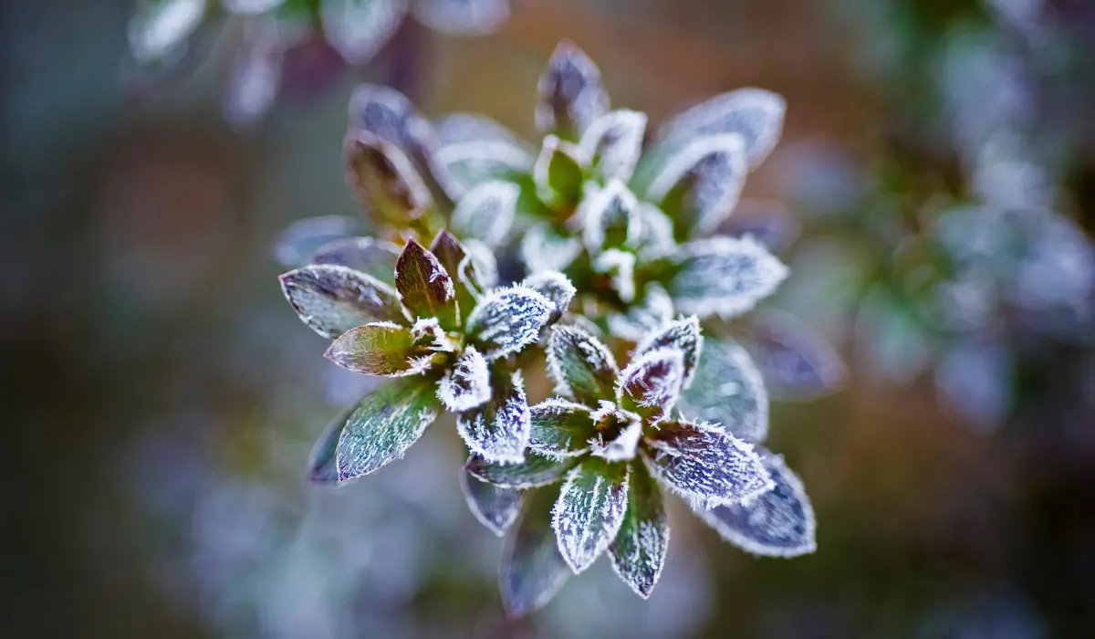 un matin de février