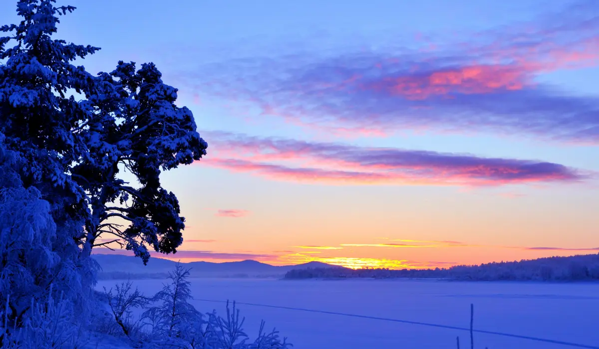 Un paysage de janvier