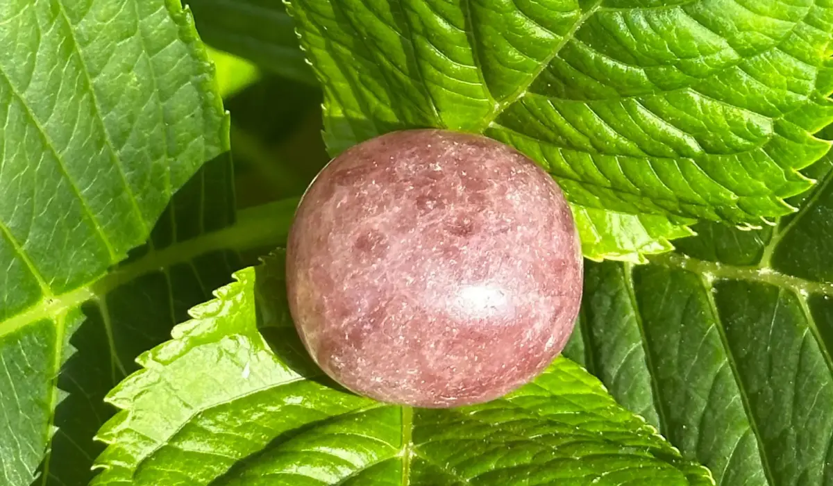 quartz fraise de janvier