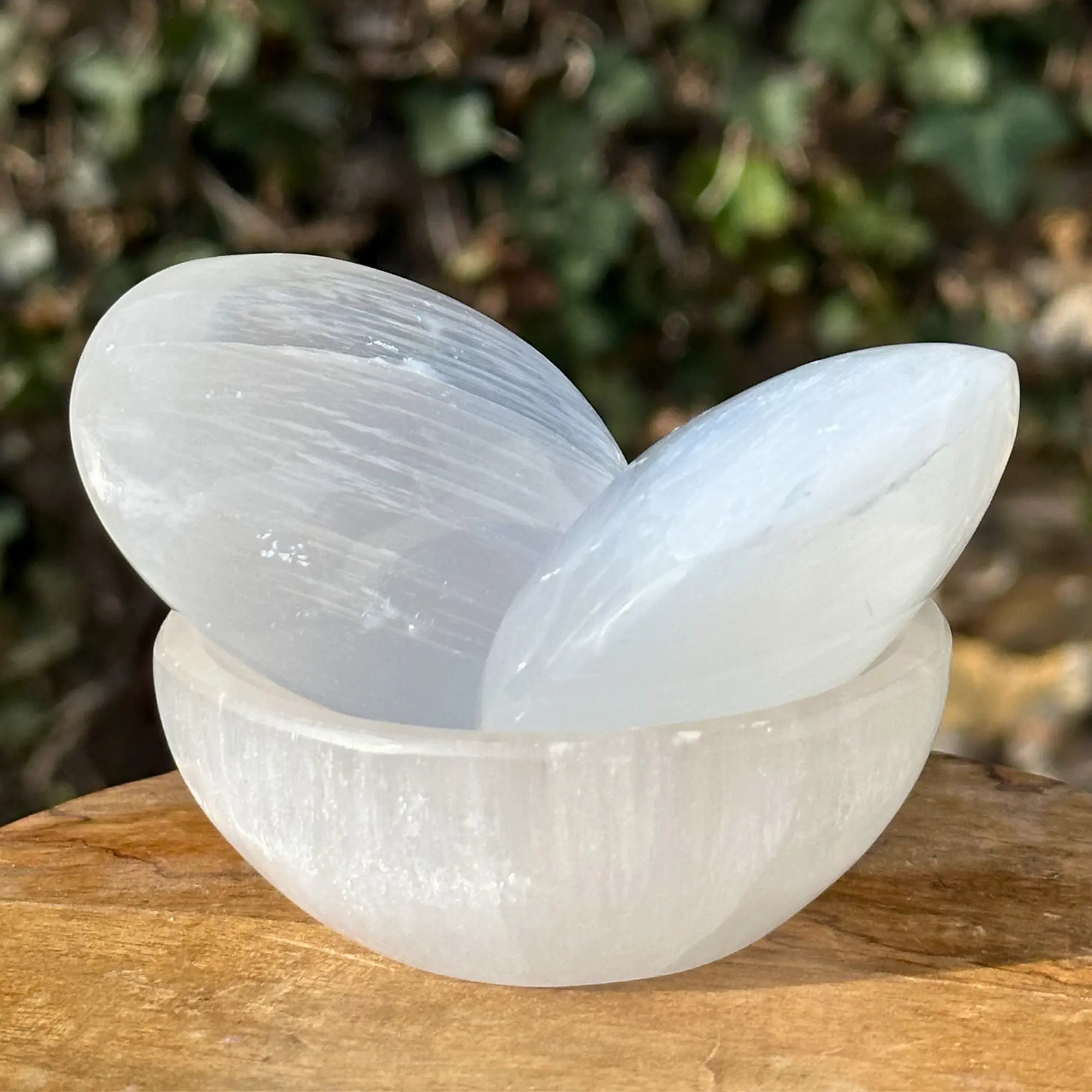 galets de sélénite dans un bol, dans un jardin